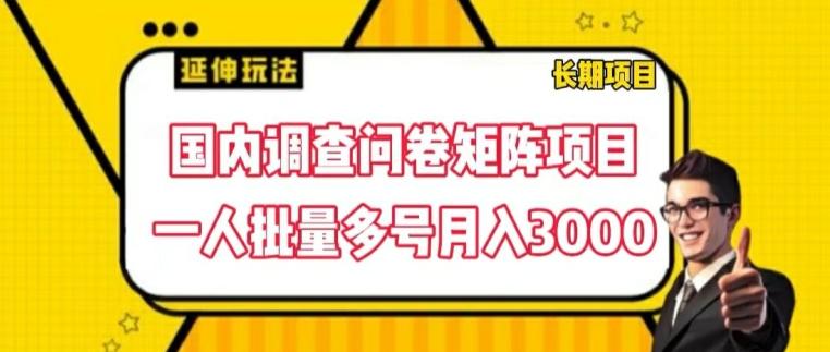 国内调查问卷矩阵项目，一人批量多号月入3000【揭秘】-简创项目网