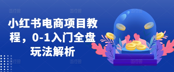 小红书电商项目教程，0-1入门全盘玩法解析-简创项目网