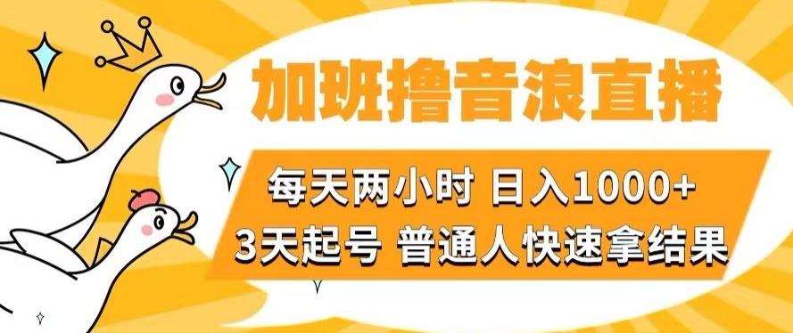 加班撸音浪直播，每天两小时，日入1000+，直播话术才3句，3天起号，普通人快速拿结果【揭秘】-简创项目网