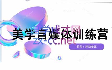 安娜·美学自媒体IP系统课-简创项目网