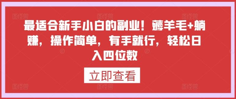 最适合新手小白的副业！薅羊毛+躺赚，操作简单，有手就行，轻松日入四位数【揭秘】-简创项目网