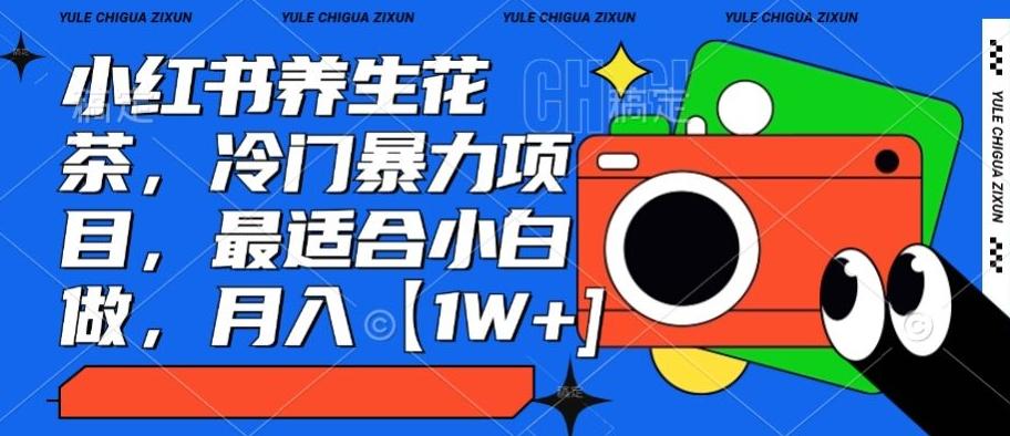 小红书养生花茶，冷门暴力项目，最适合小白做，月入【1W+】-简创项目网
