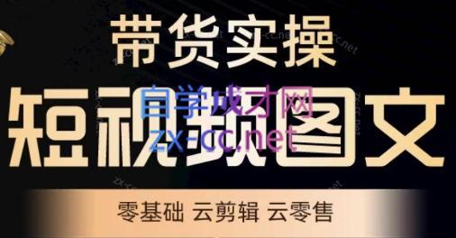 鑫哥·2024零基础短视频带货实操营-简创项目网