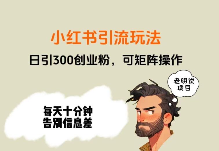 靠小红书视频日印300粉，两分钟一个视频轻松矩阵-简创项目网