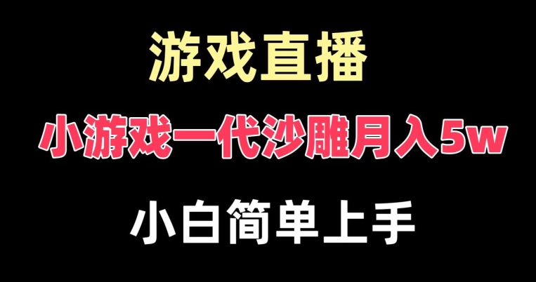 玩小游戏一代沙雕月入5w，爆裂变现，快速拿结果，高级保姆式教学【揭秘】-简创项目网