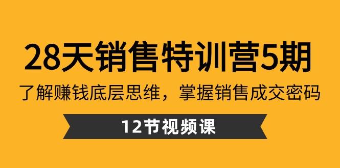 28天销售特训营5期：了解赚钱底层思维，掌握销售成交密码（12节课）-简创项目网