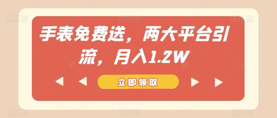手表免费送，两大平台引流，月入1.2W【揭秘】-简创项目网