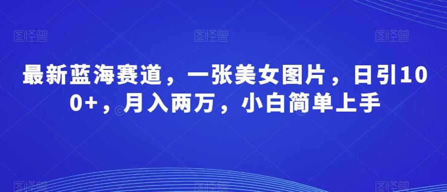 最新蓝海赛道，一张美女图片，日引100+，月入两万，小白简单上手-简创项目网