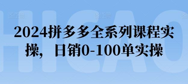 2024拼多多全系列课程实操，日销0-100单实操【必看】-简创项目网