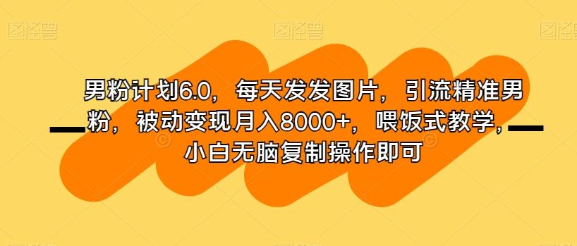 男粉计划6.0，每天发发图片，引流精准男粉，被动变现月入8000+，喂饭式教学，小白无脑复制操作即可-简创项目网