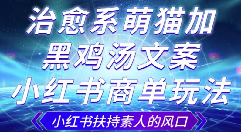 治愈系萌猫加+黑鸡汤文案，小红书商单玩法，3~10天涨到1000粉，一单200左右-简创项目网