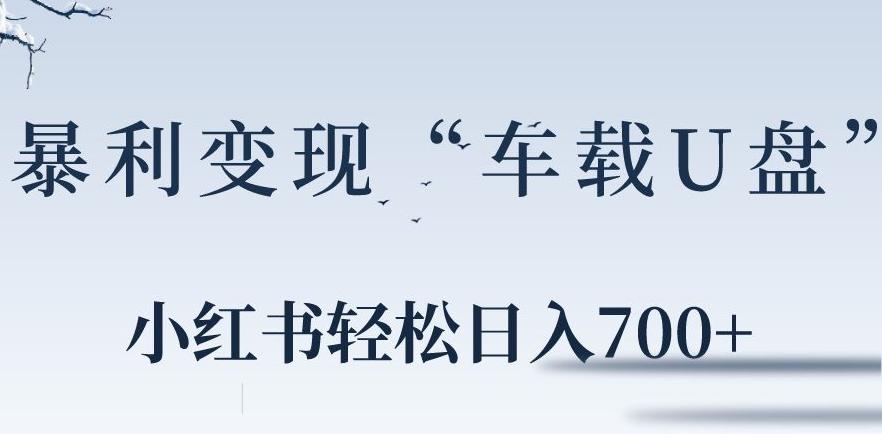 小红书“车载U盘”暴利引流，日入700+-简创项目网