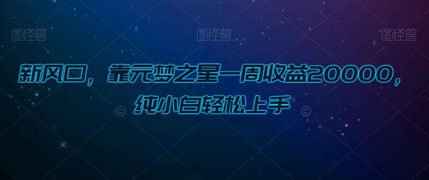 新风口，靠元梦之星一周收益20000，纯小白轻松上手-简创项目网