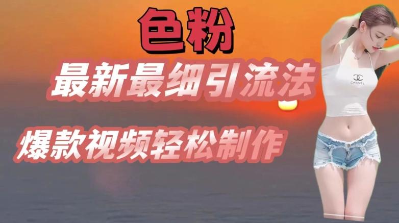 se粉最新最细引流法，七天螺旋起号法，爆款视频轻松制作【揭秘】-简创项目网