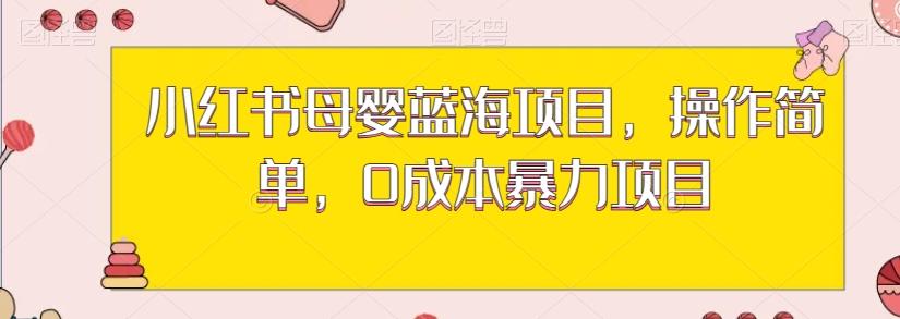 小红书母婴蓝海项目，操作简单，0成本暴力项目-简创项目网
