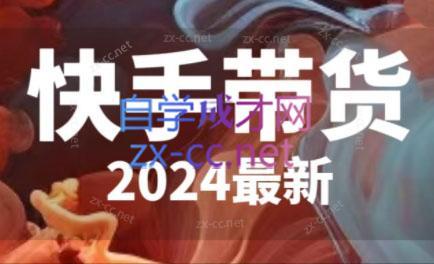 快手带货(2024最新)-简创项目网