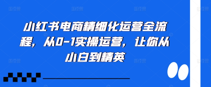 小红书电商精细化运营全流程，从0-1实操运营，让你从小白到精英-简创项目网