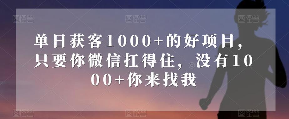 单日获客1000+的好项目，只要你微信扛得住，没有1000+你来找我【揭秘】-简创项目网