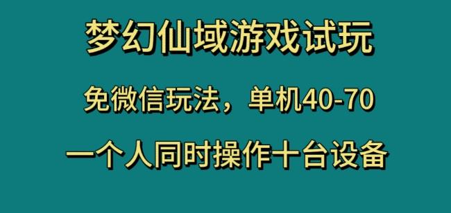 梦幻仙域游戏试玩，免微信玩法，单机40-70，一个人同时操作十台设备【揭秘】-简创项目网