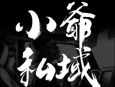小爷·私域项目操盘手-简创项目网