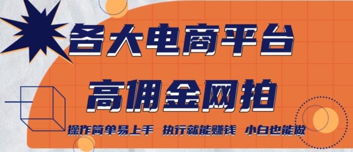 各大电商平台高佣金网拍，操作简单易上手，执行就能赚钱，小白也能做-简创项目网