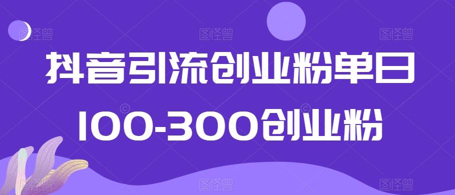 抖音引流创业粉单日100-300创业粉【揭秘】-简创项目网