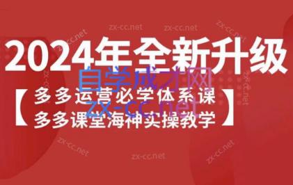 海神老师·拼多多运营必学体系课-简创项目网