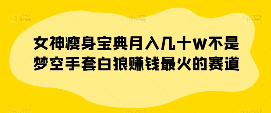 女神瘦身宝典月入几十W不是梦空手套白狼赚钱最火的赛道【揭秘】-简创项目网