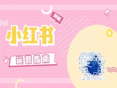 小红书运营指南，没有套路，全是经验-简创项目网