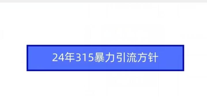 24年315暴力引流方针-简创项目网