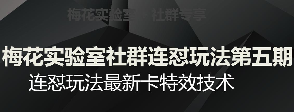 梅花实验室社群连怼玩法第五期，视频号连怼玩法最新卡特效技术-简创项目网