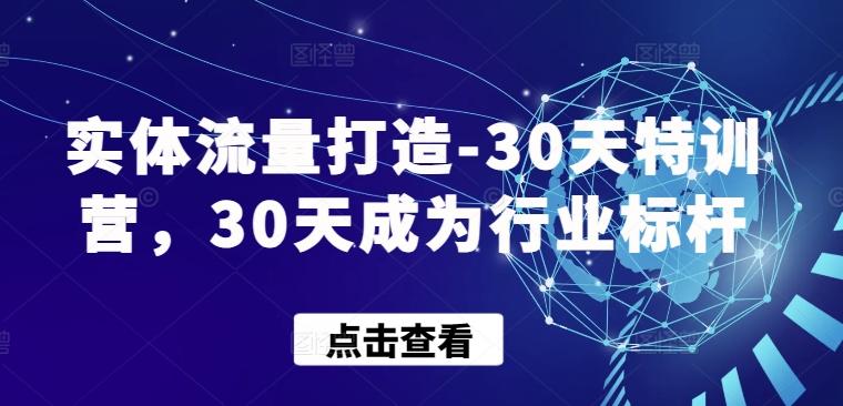 实体流量打造-30天特训营，30天成为行业标杆-简创项目网