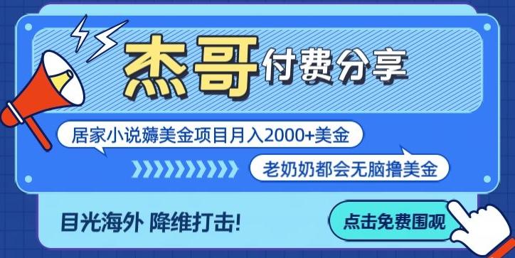 拆解海外撸美金项目月入2000美刀详细指导-简创项目网
