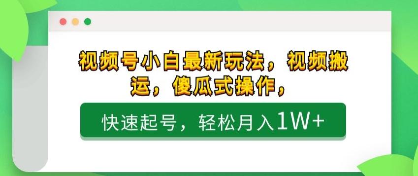 视频号小白最新玩法，视频搬运，傻瓜式操作，快速起号，轻松月入1W+-简创项目网