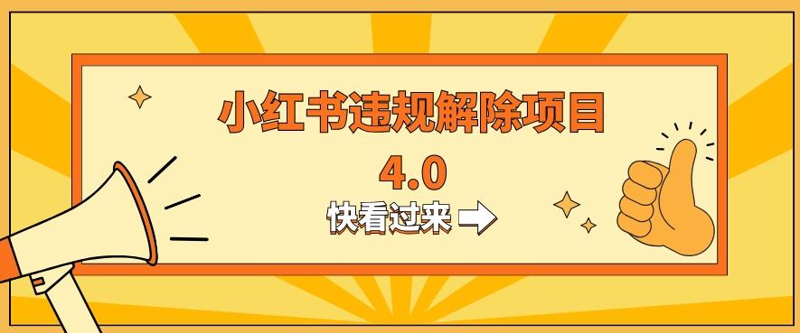 小红书违规掘金蓝海项目，日入800+（附带引流办法及解除办法）-简创项目网