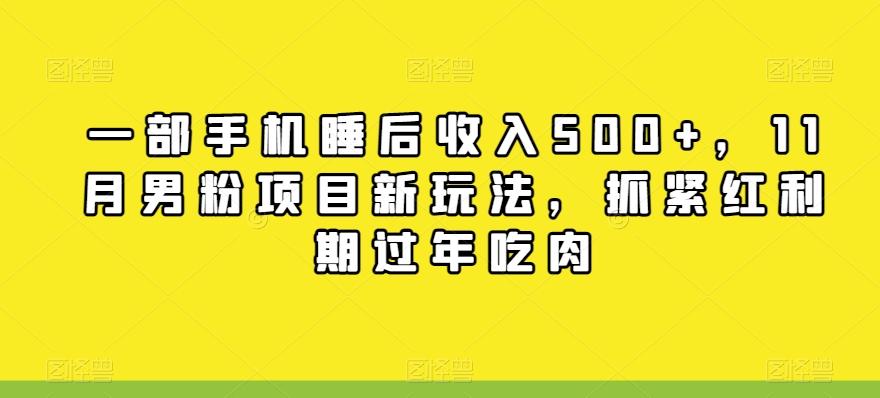 一部手机睡后收入500+，11月男粉项目新玩法，抓紧红利期过年吃肉-简创项目网