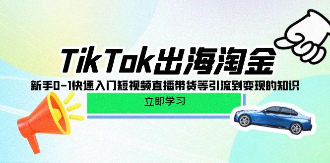 (10035期)TikTok-出海淘金，新手0-1快速入门短视频直播带货等引流到变现的知识-简创项目网