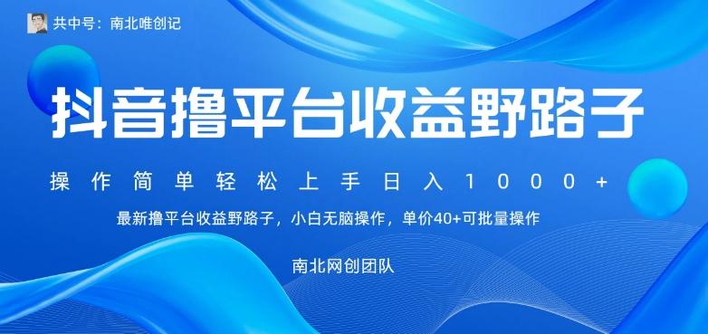 最新撸抖音平台收益野路子，操作简单，单价高，小白可无脑操作可日入1000+-简创项目网