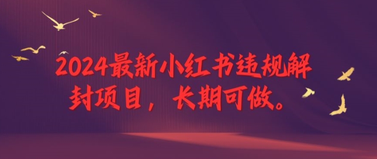 2024最新小红书违规解封项目，长期可做，一个可以做到退休的项目【揭秘】-简创项目网