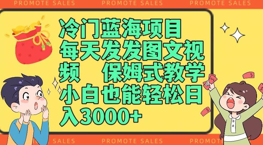 冷门蓝海项目，每天发发图文视频，保姆式教学，小白也能轻松日入3000+-简创项目网