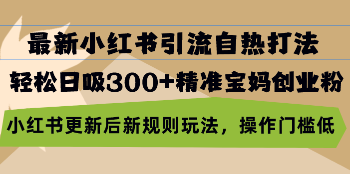 最新小红书引流自热打法，轻松日吸300+精准宝妈创业粉，小红书更新后新…-简创项目网