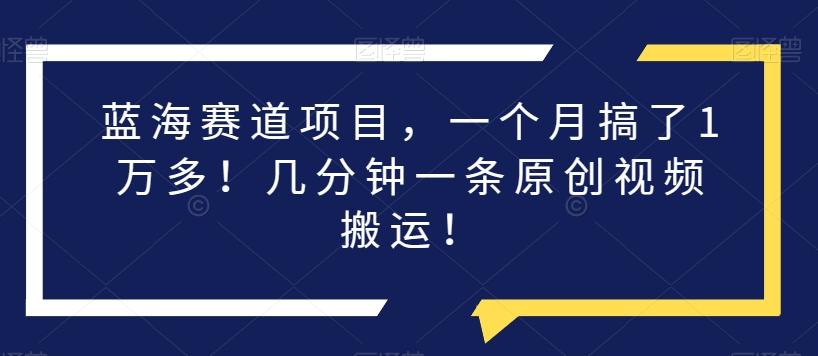 蓝海赛道项目，一个月搞了1万多！几分钟一条原创视频搬运！-简创项目网