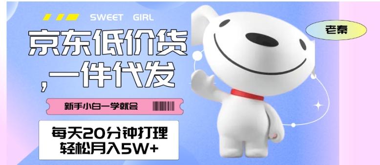 每天20分钟打理京东低价货，一件代发-轻松月入5W＋-简创项目网