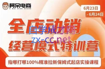 阿呆电商·全店动销经营模式特训营(线下录音+思维导图)-简创项目网
