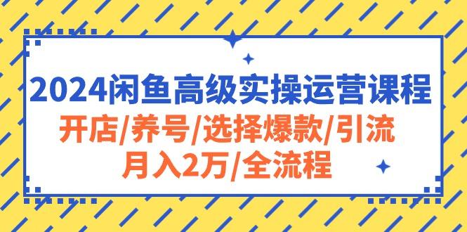 2024闲鱼高级实操运营课程：开店/养号/选择爆款/引流/月入2万/全流程-简创项目网