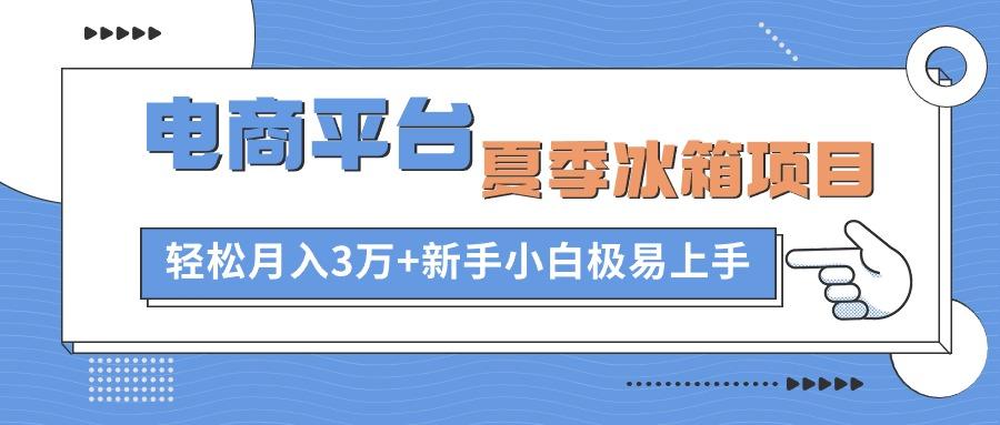 电商平台夏季冰箱项目，轻松月入3万+，新手小白极易上手-简创项目网