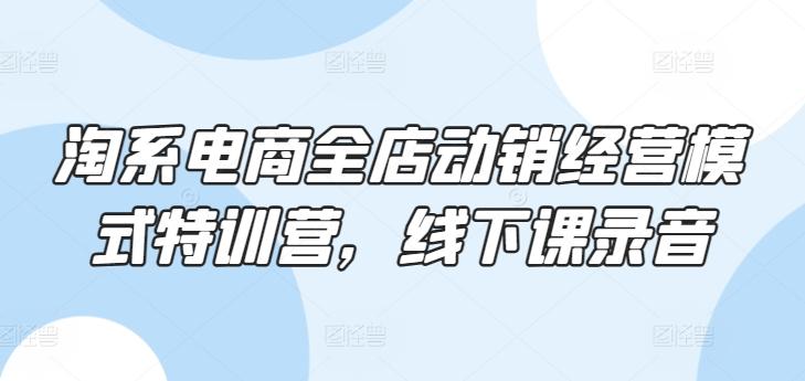 淘系电商全店动销经营模式特训营，线下课录音-简创项目网