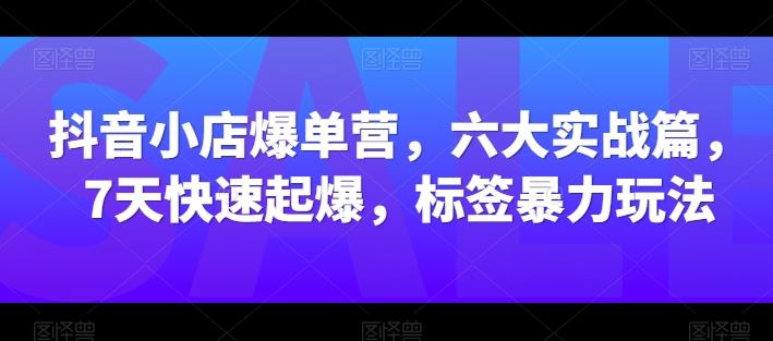 抖音小店爆单营，六大实战篇，7天快速起爆，标签暴力玩法-简创项目网
