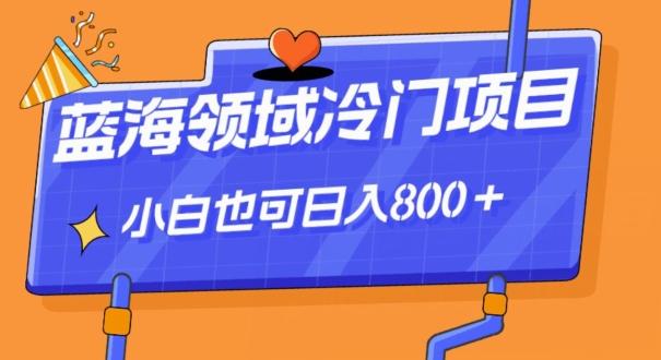 蓝海领域冷门赛道，一单39.9，日入800＋-简创项目网
