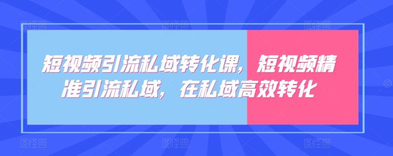 短视频引流私域转化课，短视频精准引流私域，在私域高效转化-简创项目网